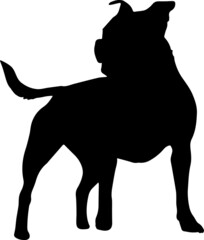 Staffordshire Bull Terrier Silhouette SVG