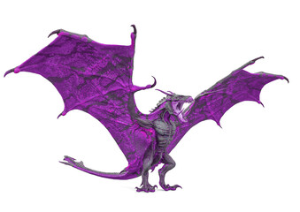 Fototapeta premium master dragon is standing up on the ground in white background