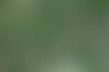 Dark light green blurred background for the design of sites on the Internet
