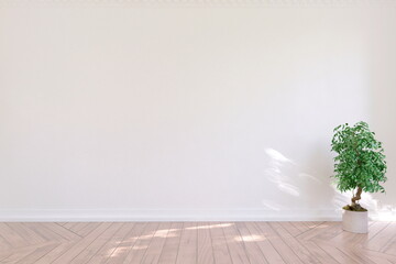 White empty room with green home plant. Scandinavian interior design. 3D illustration