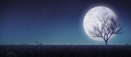 Full moon with silhouette tree and meadow.Panorama view.3d rendering