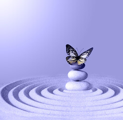 Fototapeta na wymiar Zen garden meditation stone for concentration and relaxation with butterfly. Very peri colour 2022