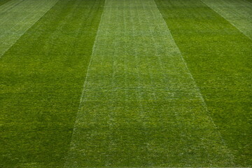 Soccer Field Line detail for Backgrounds or Texture