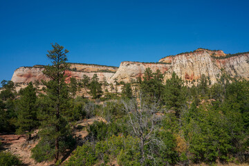 Fototapeta na wymiar Zion Utah landscape photos including mountains, trees, rocks and blue sky