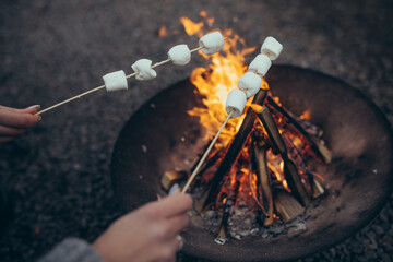Female hands roast the marshmallow strung on sticks over bonfire.