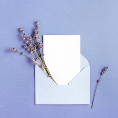 Mockup with card and lavender in lilac envelope on peri very background.