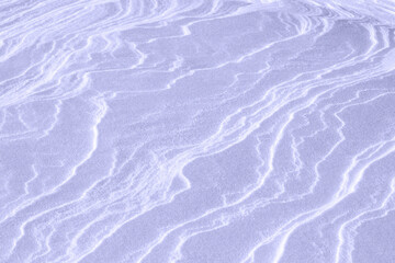 Natural snow texture. The wind formed waves on the snowy surface. Beautiful crust. Color of the year. Winter background.