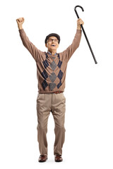 Full length portrait of a happy elderly man raising hands up and gesturing happiness