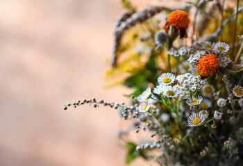 A bouquet of wildflowers on a beige background. Free space for text. Blurred background, selective focus.