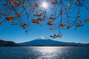 河口湖の秋風景２０２１