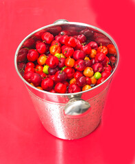 bucket of fresh acerola fruit