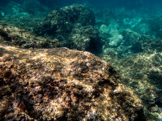 Fondale marino Isola Bella Taormina 395