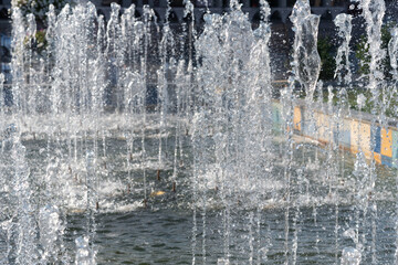 Water jets and splashes in the fountain, background.