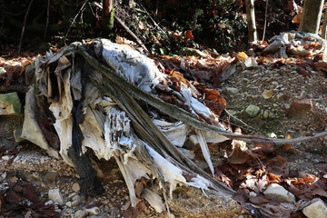 coloured old cloths along the stream contaminating the water - envirinmental pollution