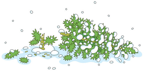 Felled green fir tree on a snowy winter forest glade, vector cartoon illustration isolated on a white background
