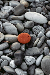 Red round stone on a background of gray stones