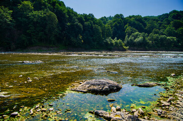 Landscape with a riverain bank, on a sunny day in summer