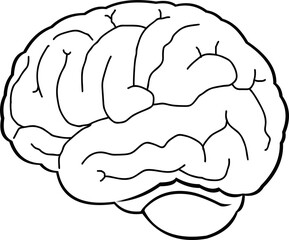 Vector illustration of a brain drawn in black and white