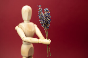 Big wooden mannequin presents the  bouquet of lavender flowers to someone, picture on red background