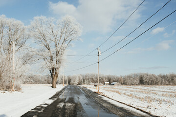 Country Road in Winter