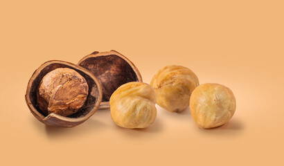 Hazelnuts in the shell. Round filbert, ripe fruit of a Corylus avellana hazel shrubs.