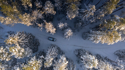Aerialk top down view to the snow clad coniferous forest and forest raod with lonely car passing