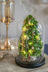 Modern christmas decoration table display. Cute little festive glas Cloche filled with green hydrangea flowers. Beautiful glass cloche with Christmas tree.