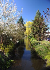 Eggesin, Frühling an der Beekbrücke