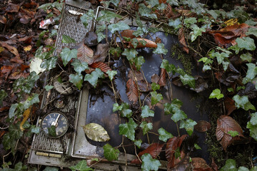 Ruined old appliance abandoned in the woodland - environmental contamination concept