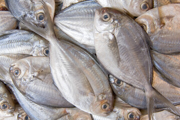 Delicious fresh fish in a farmer's market.