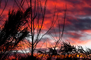 atardecer