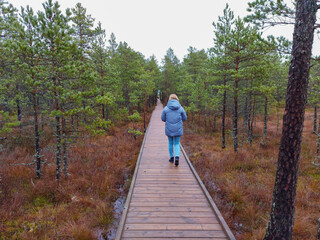 a woman walks along a swamp wooden footbridge in autumn