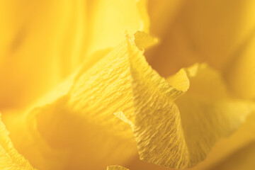 Fototapeta na wymiar Fragment of a yellow flower made of crepe paper. Macro photography