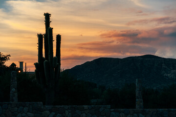 sunset over the cactus