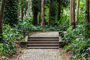 Parque da tijuca