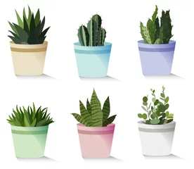 Foto op Plexiglas Cactus in pot Vector decorative houseplants set