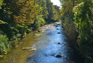 Beautiful clear river with stones on the ground and sourrounding trees