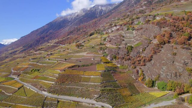 The Valais Wine Region in Switzerland Aerial View