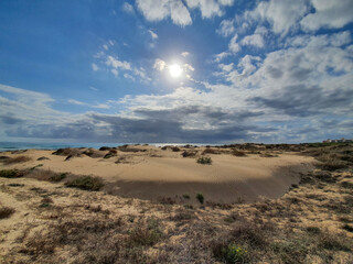 Vega Baja del Segura - Guardamar del Segura - Dunas y pinada