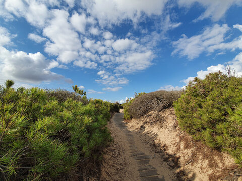 Vega Baja del Segura - Guardamar del Segura - Dunas y pinada