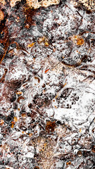 Ice texture of the wall