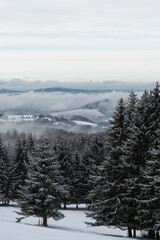 Moody mountain landscape with snow covered trees and fog rising from the valley