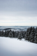 winter mountain landscape with snow and fog