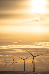 Offshore Windpark in der Nordsee bei Sonnenuntergang