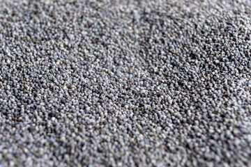 Pile of poppy seeds. Macro