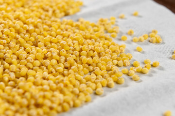 Uncooked millet seeds on a white crumpled paper. Macro