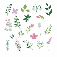 Set of spring handdrawn plants and flowers.