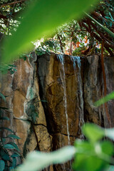 Waterfall in the tropical garden greenhouse on a summer day