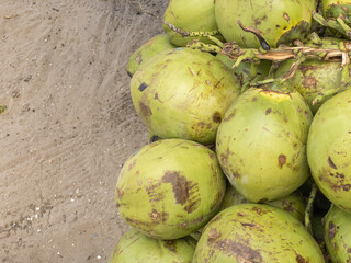 Green coconuts piled up and ready to be sold.