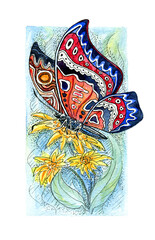 watercolor hand drawing blue butterfly in the grass botanical background